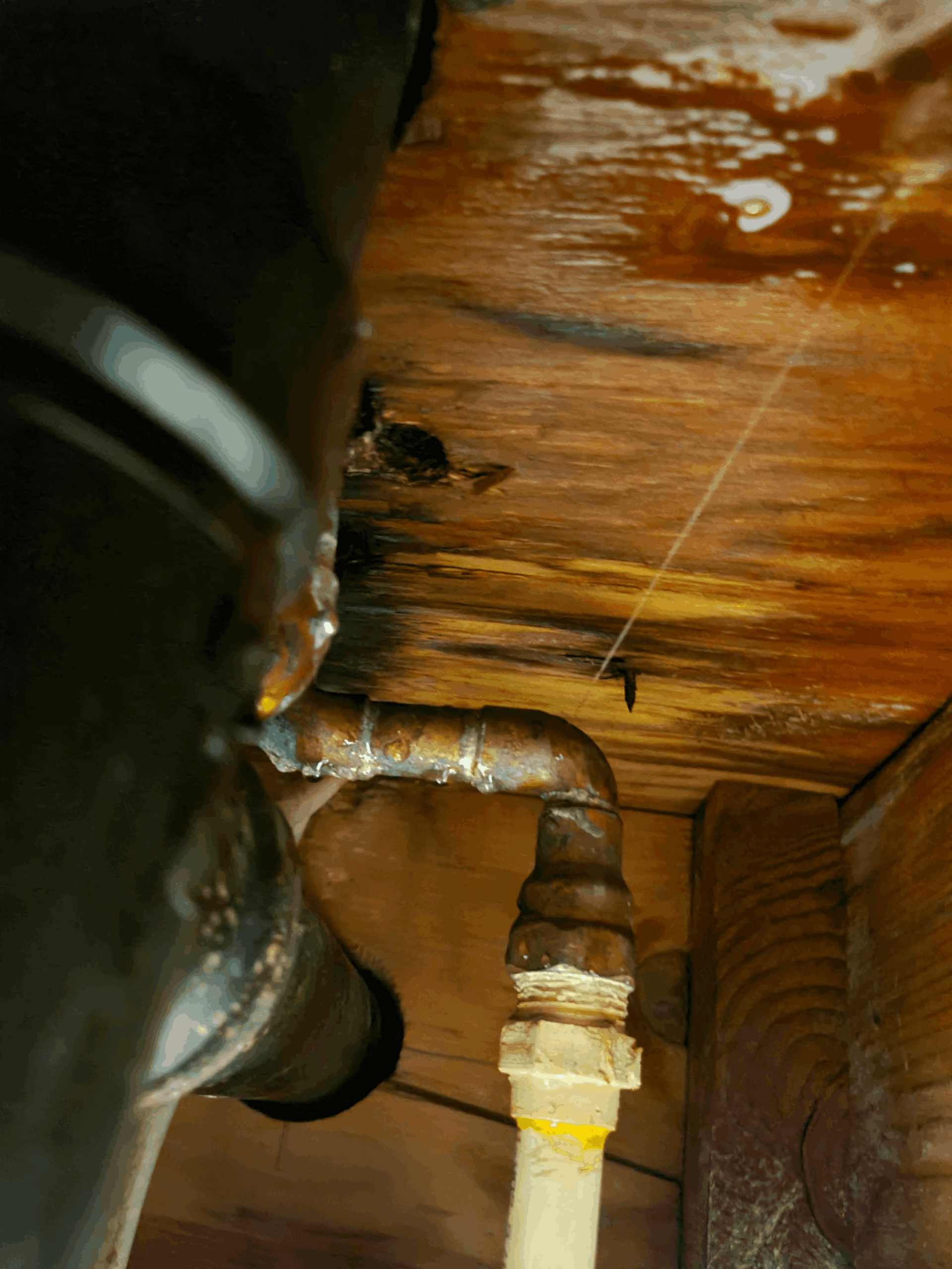 Professional plumbing and gas line evaluation