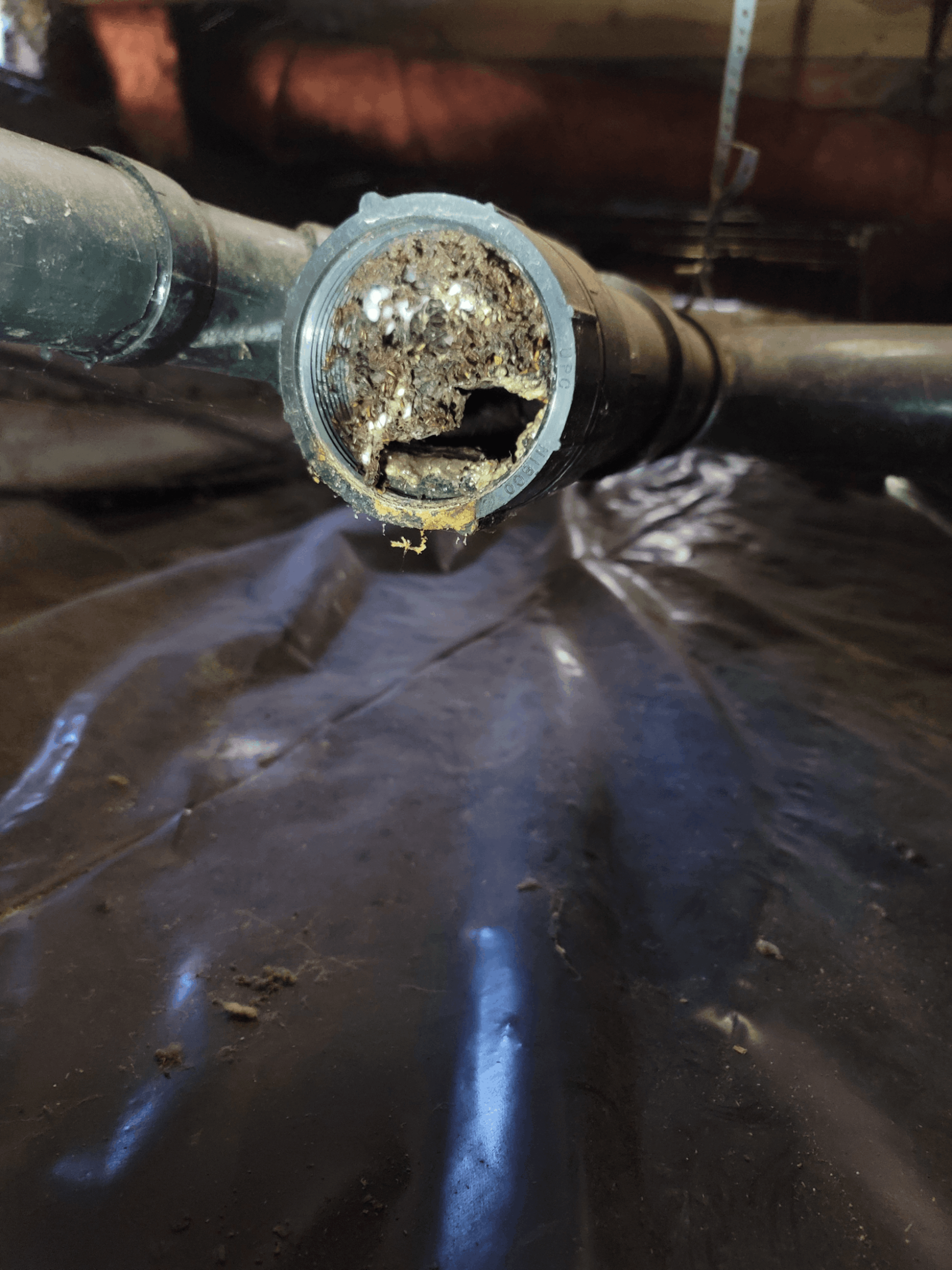 Professional plumbing pipe evaluation and repair