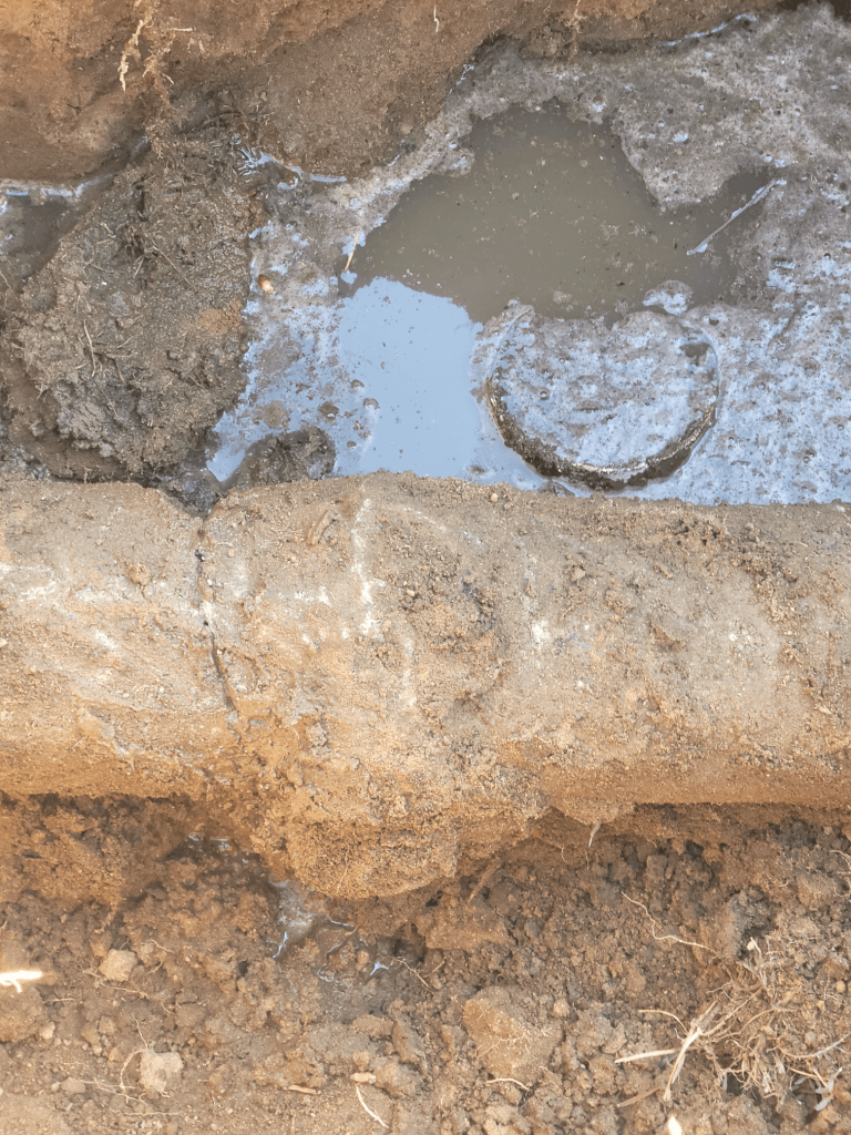 Do You Need a Plumber for a Small Leak?