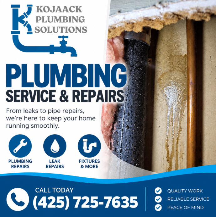 Kojaack Plumbing Solutions professional plumbing service